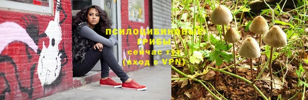 не бодяженный Богданович