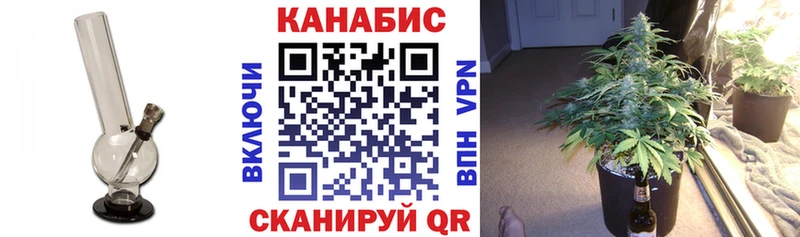 Бошки Шишки THC 21%  Купить где  Ржев 